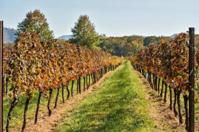 Afton Mountain Vineyard